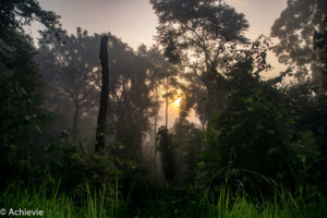 Borneo_Deramakot_landscape-0007