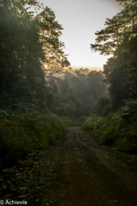 Borneo_Deramakot_landscape-0008
