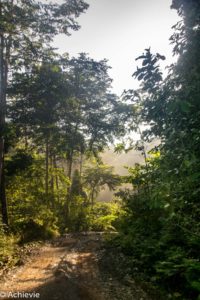 Borneo_Deramakot_landscape-0011