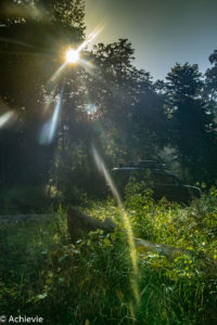 Borneo_Deramakot_landscape-0012