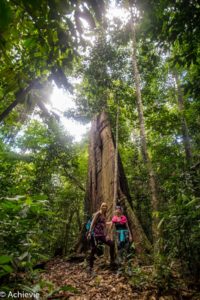 Borneo_Deramakot_landscape-0013