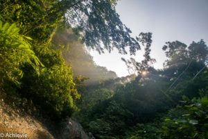 Borneo_Deramakot_landscape-0015