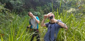 Borneo_Deramakot_landscape-0020