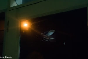 Borneo_Deramakot_night-0001