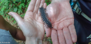 Borneo_Deramakot_wildlife-0002