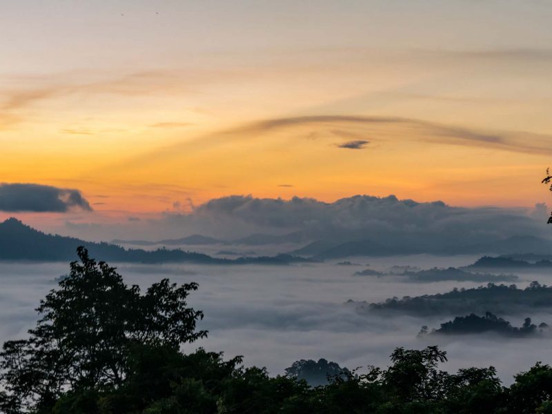 Borneo, Malaysia - Danum Valley Conservation Area - Sabah - Sunrise