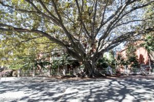 Australia_Perth-0007