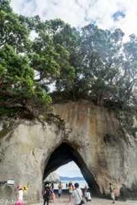 NewZealand_North_CathedralCove-0002