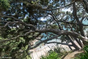 NewZealand_North_Coromandel-0011