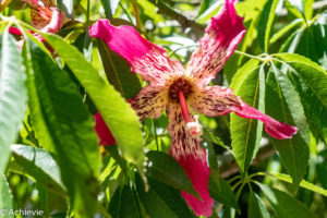 Argentina_Buenos Aires-0021