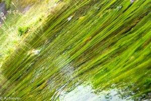 Argentina_El Chalten_Chorillo-0004