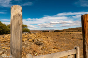 Argentina_El Chalten_From Calafate-0003