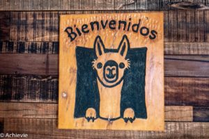 Argentina_El Chalten_From Calafate-0006