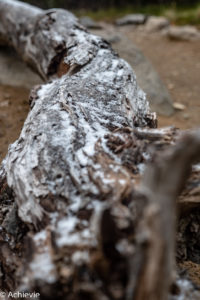 Argentina_El Chalten_Laguna Tres-0006