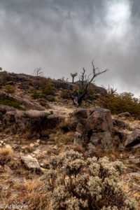 Argentina_El Chalten_Mirador-0012