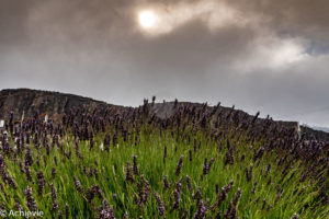 Argentina_El Chalten_Town-0004