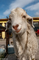 Patagonia_ElCalafate_RioMitre-0004