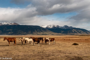 Patagonia_ElCalafate_RioMitre-0009