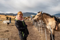 Patagonia_ElCalafate_RioMitre-0010