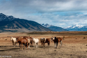 Patagonia_ElCalafate_RioMitre-0012