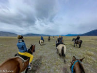 Patagonia_ElCalafate_RioMitre-0015