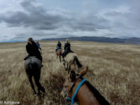 Patagonia_ElCalafate_RioMitre-0018