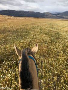 Patagonia_ElCalafate_RioMitre-0022