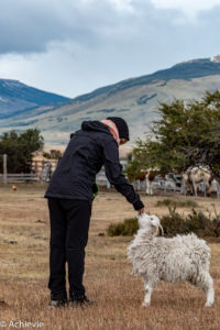 Patagonia_ElCalafate_RioMitre-0024