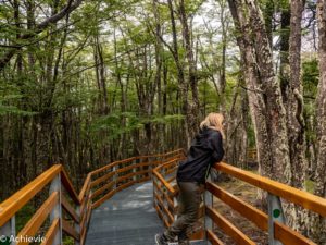 Patagonia_PeritoMoreno-0016