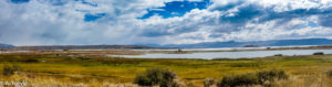 Patagonia_ElCalafate_LagunaLimez-0002
