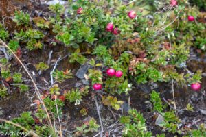 Patagonia_TorresDelPaine_Day1-0004