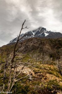 Patagonia_TorresDelPaine_Day1-0005