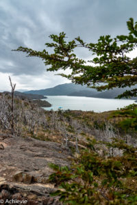 Patagonia_TorresDelPaine_Day1-0008