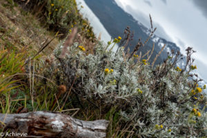 Patagonia_TorresDelPaine_Day1-0013