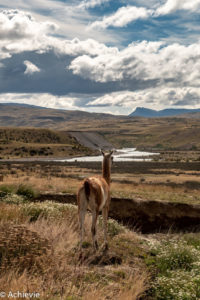 Patagonia_TorresDelPaine_Day5-0017