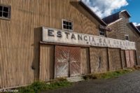 Patagonia_KingPenguinTour-0001