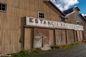 Patagonia_KingPenguinTour-0001