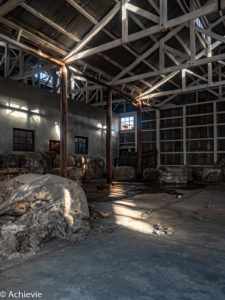 Patagonia_KingPenguinTour-0003