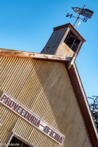 Patagonia_KingPenguinTour-0004