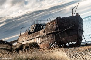 Patagonia_KingPenguinTour-0005