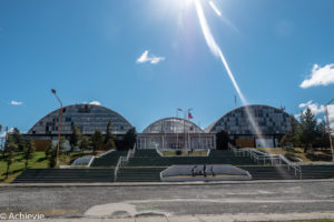 Patagonia_KingPenguinTour-0008