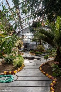 Patagonia_KingPenguinTour-0011