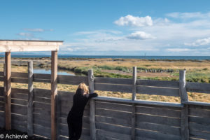 Patagonia_KingPenguinTour-0023