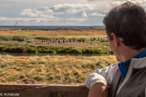 Patagonia_KingPenguinTour-0025