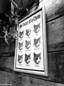 Patagonia_PuertoNatales_Resto-0002