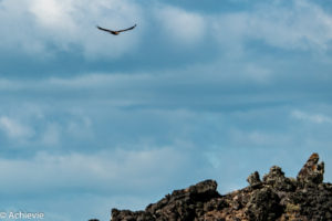 Pali Aike National Park, Chile - Patagonia - Travelling Accountant