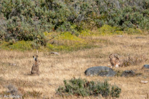 Chile_RutaDelFinDelMundo-0007