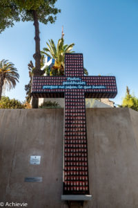 Chile_Santiago_Parque-0001