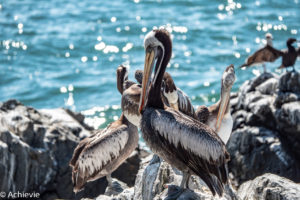 Chile_Valparaiso-0021