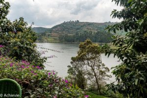 Uganda_BirdNest-0001